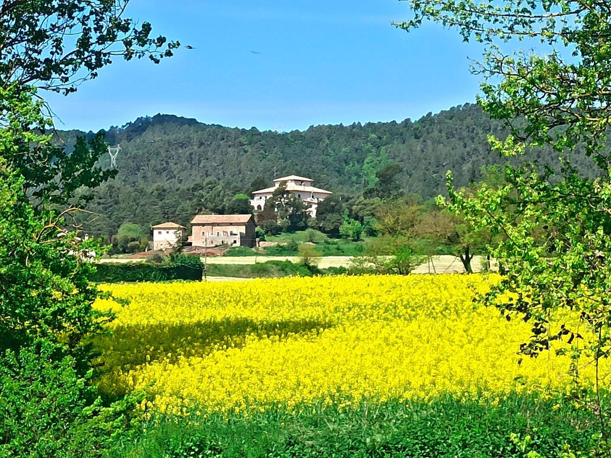 La Torre Del Vilar Santa Eulalia de Ríuprimer المظهر الخارجي الصورة